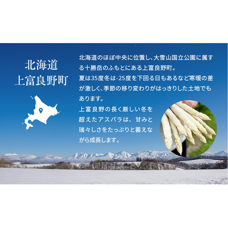 先行予約 【 2025年 発送 ！】 北海道 上富良野産 ホワイトアスパラガス 2L サイズ 500g アスパラ ホワイト アスパラガス 上富良野町 令和7年発送 野菜 やさい【オンライン決済限定】_