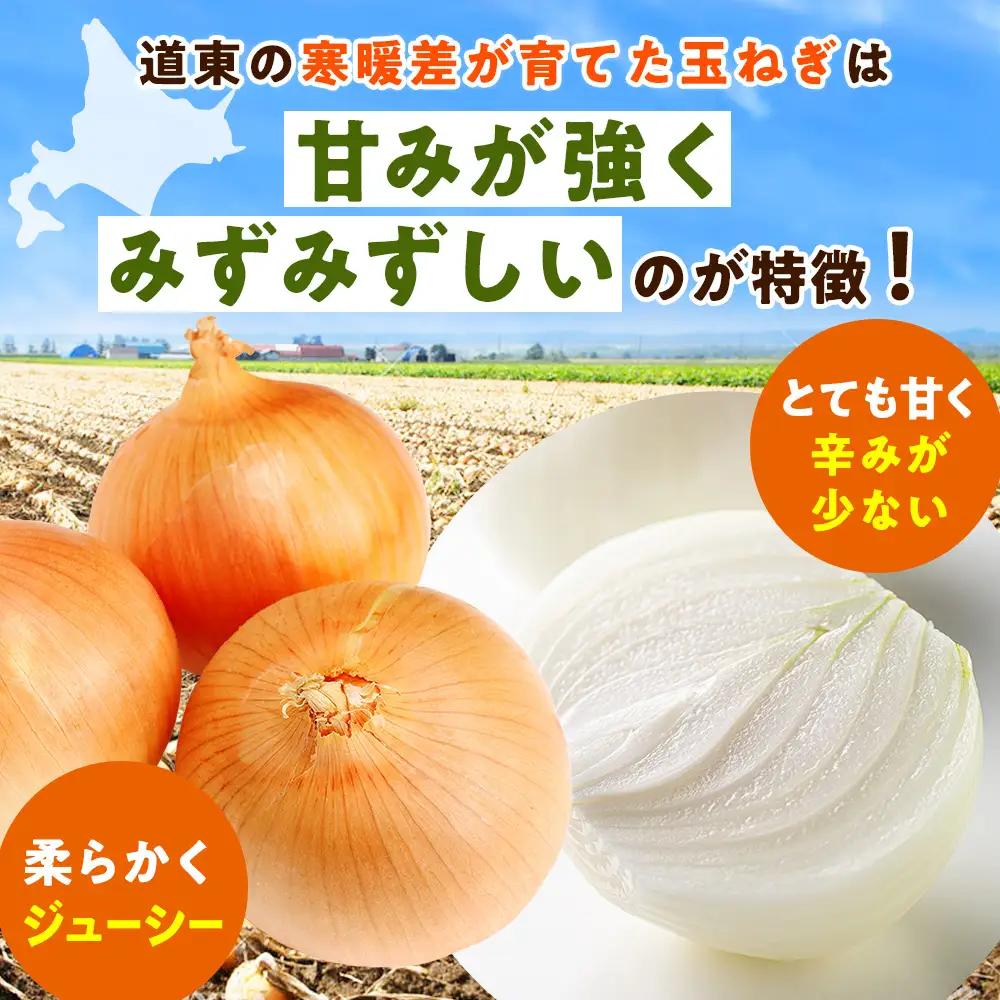 【ふるなびWEEK対象】R8年産 玉ねぎ （L玉・М玉混合） 10kg オホーツクコロポックル | 北海道津別町