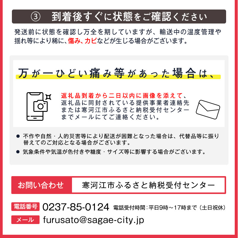 《先行予約》 令和8年産 りんご サンふじ 秀品 3kg（7 - 9玉） 山形県産 【2026年11月頃より順次発送予定】2026年産 山形産　014-B-JF003
