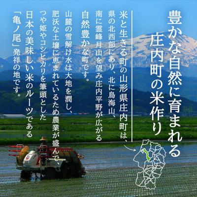 ふるさと納税 庄内町 <10月中旬発送>庄内米6か月定期便!はえぬき無洗米 6kg(入金期限:2025.9.25) |  | 01