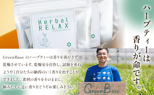 さわやかローズマリーハーブティー 合計36袋セット（3袋入り×12パック） gr-0175