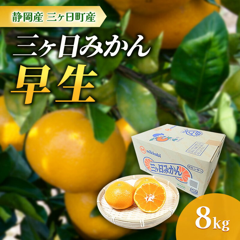 【ふるさと納税】静岡三ヶ日産 早生みかん 8kg/箱　お届け：2025年10月31日～2025年12月25日