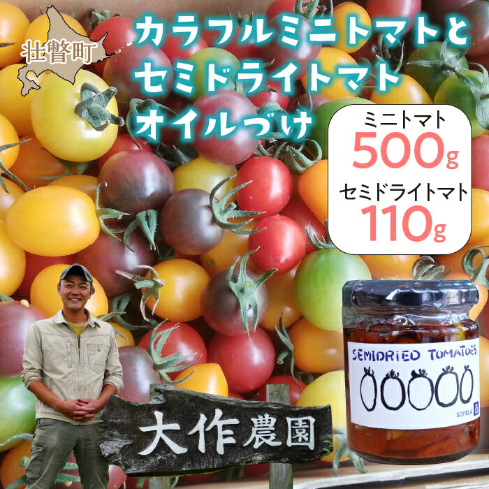 【ふるさと納税】北海道壮瞥産 大作農園の「カラフルミニトマト」約500g（5種以上）とセミドライトマトオイル漬け1瓶（110g）のセット ふるさと納税 人気 おすすめ ランキング トマト ミニトマト アイコ オイル漬け 野菜 甘い パスタ サラダ 北海道 壮瞥町 送料無料 SBTR008