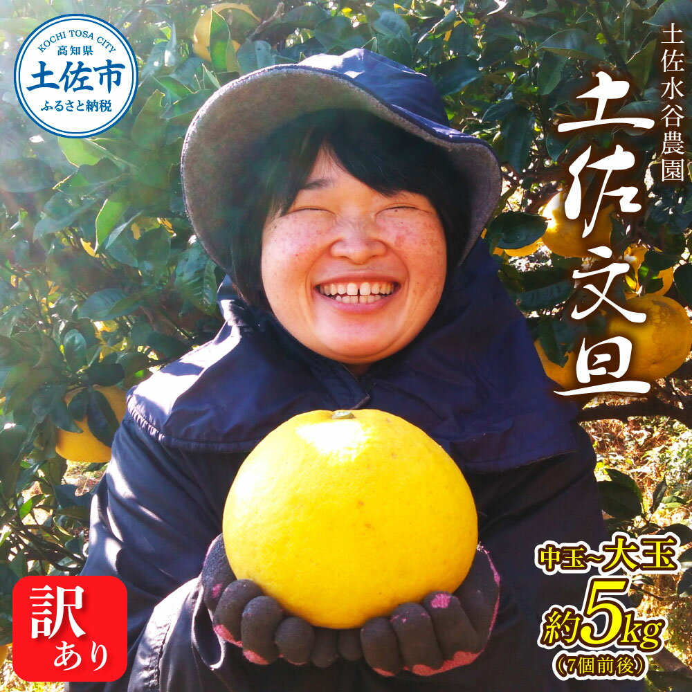 【ふるさと納税】本場高知県土佐市産 土佐水谷農園の露地土佐文旦 家庭用5キロ 5kg 中玉~大玉（3L～上限なし：7玉前後）皮むき器付き 訳あり 文旦 ぶんたん ブンタン 土佐文旦 家庭用 ご自宅用 柑橘 フルーツ 果物 高知 ふるさとのうぜい 故郷納税 高知県 16000円 土佐市