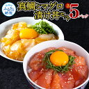 海鮮「真鯛の漬け丼の素」1食80g×5P＋「マグロの漬け丼の素」1食80g×5P《迷子の真鯛を食べて応援 養殖生産業者応援プロジェクト》 故郷納税 コロナ応援【koyofr】惣菜 冷凍 保存食 小分け 高知 海鮮丼 鯛茶漬け 一人暮らし〈高知市共通返礼品〉