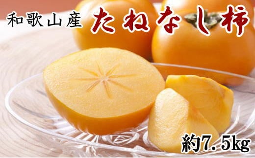 和歌山産たねなし柿（サイズおまかせ）約7.5kg・秀品★2026年10月頃より順次発送［TM10］
