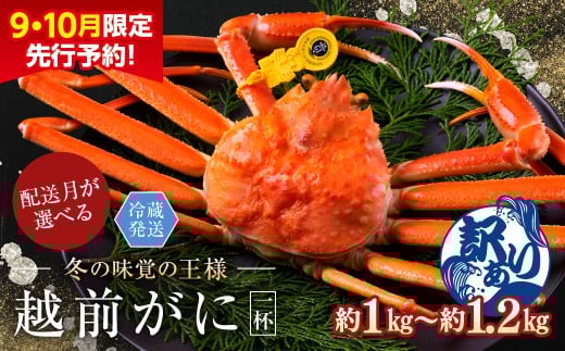【年内発送・指定日着可】【先行予約 9月10月限定】越前がに（オス）「ずわいがに」特大サイズ（1.0-1.2kg） 訳あり 1杯