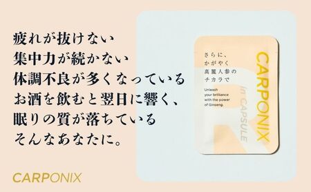 黒高麗人参「CARPONIX」　＜ご自宅用エコパック＞ 60粒入り×1袋　＜個包装＞ 4粒入り×30袋 【定期便 6ヶ月】 サプリメント サプリ 黒高麗人参 カプセル ジンセノサイド 千葉市