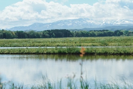 【令和7年産】【新米】 黒川まるいし農場の特別栽培米 コシヒカリ 精米 15kg(5kg×3袋) 山形県鶴岡市産　K-7129