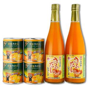 B167-11 甘夏みかん缶詰（４缶）まるたんジュース（２本）セット