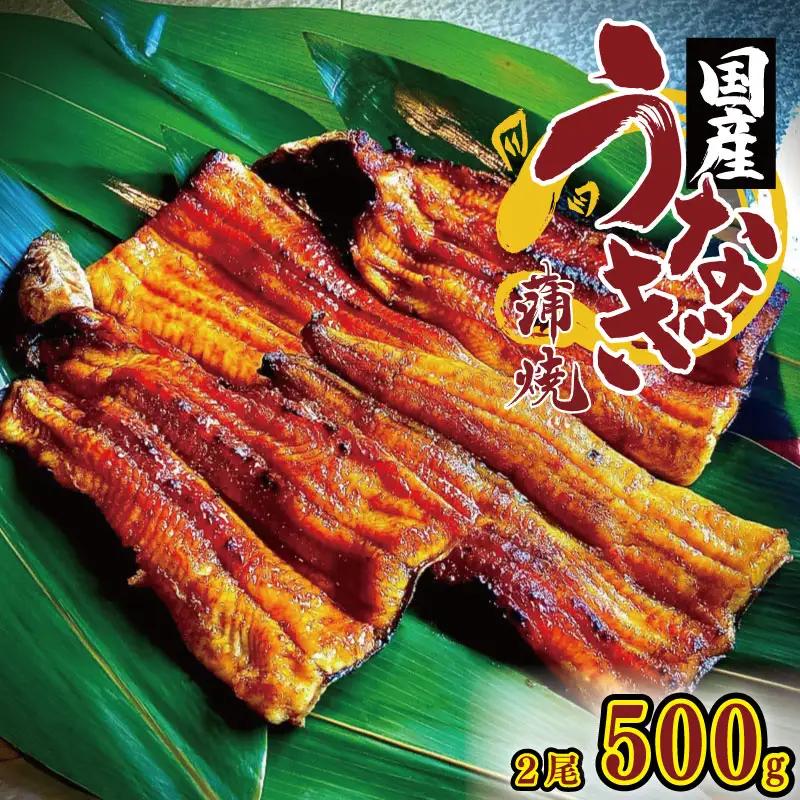 国産うなぎ 炭火焼  2尾 約500g タレ付 【 うなぎ 】