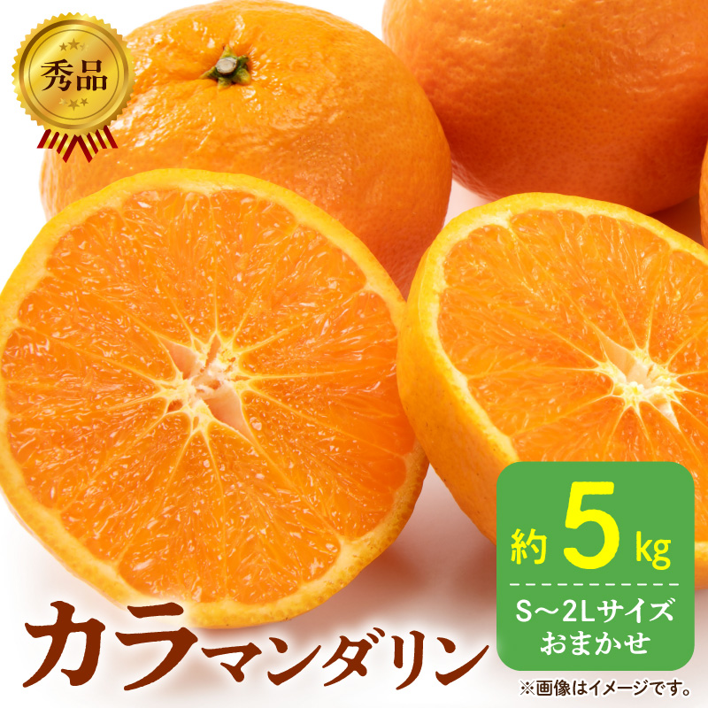 DZ6212_秀品 カラマンダリン なつみ 和歌山 有田 秀品 S～2Lサイズ 大きさお任せ 約5kg