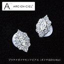 【ふるさと納税】【高島屋選定品】プラチナダイヤモンドピアス（ダイヤ合計 0.46ct）65N0090