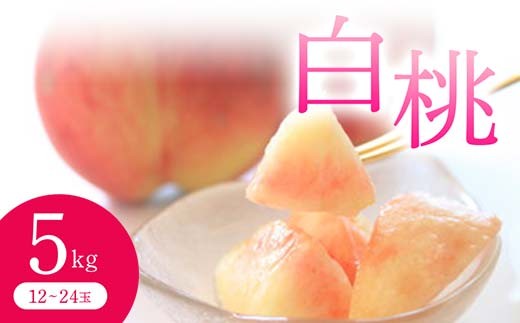 
                  《先行予約 2026年度発送》白桃(品種おまかせ) 5kg  もも モモ 桃 デザート フルーツ 果物 くだもの 果実 食品 山形県 FSY-0706
                