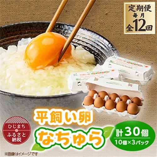 【発送月固定定期便】平飼い卵なちゅら(30ヶ入り)全12回【配送不可地域：離島】【4064958】