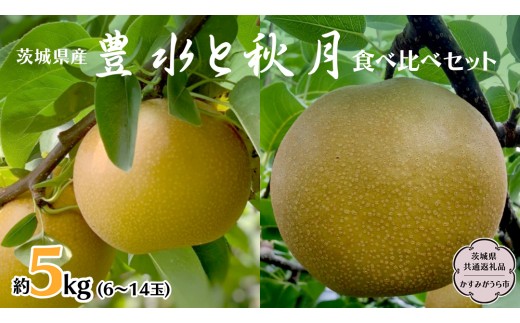 豊水 ・ 秋月 食べ比べ セット 約 5kg 6玉～14玉 (茨城県共通返礼品 かすみがうら市) 産地直送 久保田果樹園 フルーツ 甘い 直送 茨城 限定 ギフト 梨 秋月 あきづき 豊水 ほうすい 果物 [DH005sa]