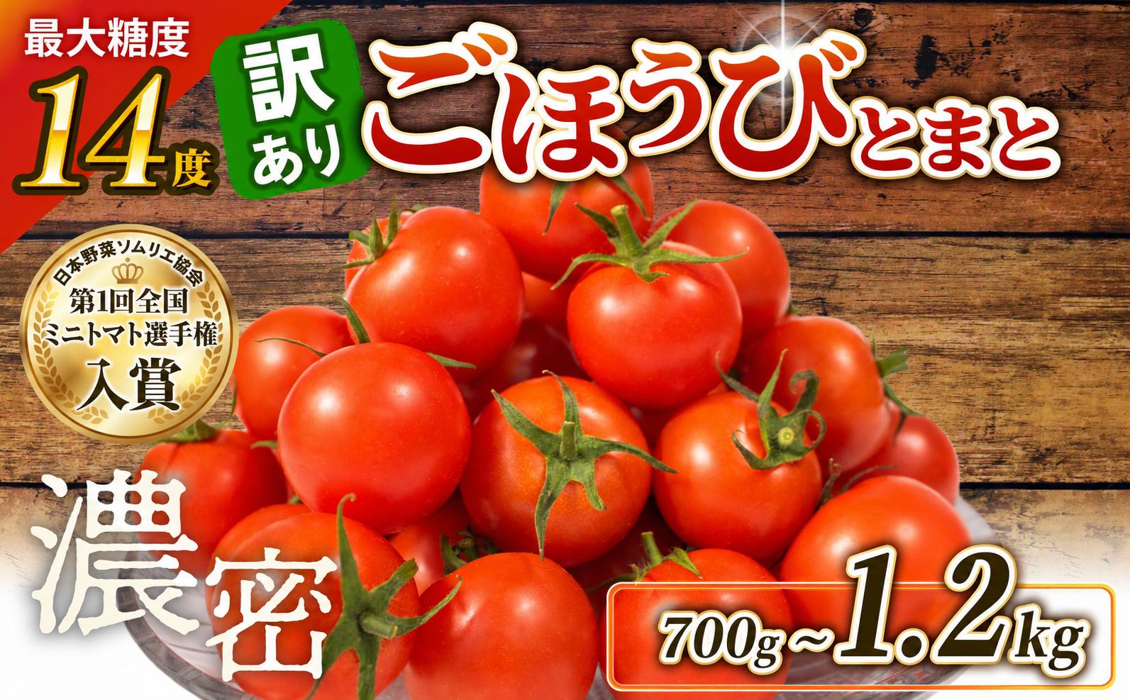 
                  [先行予約] 訳あり トマト 高糖度 甘い 700g 1kg 1.2kg フルーツトマト ミニトマト 野菜 果物 濃厚 産地直送 とれたて 徳用 大きさ不揃い ごほうびとまと 株式会社風の子ファーム 埼玉県 羽生市
                