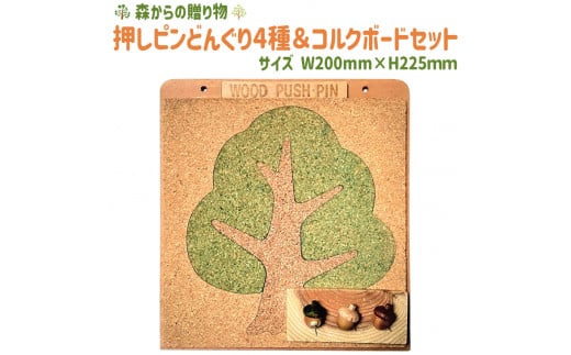 押しピンどんぐり4種＆コルクボードセット【黄】 ≪壁掛け おしゃれ 可愛い ボード 飾る 写真 掲示板≫ ふるさと納税 コルクボード 壁掛け メッセージボード コルク 押しピン 山梨県 道志村 送料無料 DSR023--02