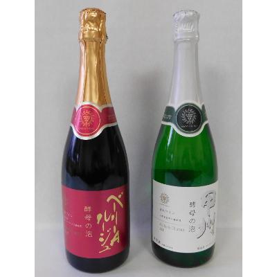 ふるさと納税 山梨県 山梨県産ベーリーA種と甲州種から造った辛口スパークリングワイン2本セット【マンズワイン】