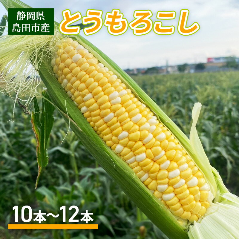 【ふるさと納税】【2026年6月上旬より順次発送】静岡県島田市産 とうもろこし 10本～12本【配送不可：北海道・沖縄・離島】　お届け：2026年6月上旬～2026年6月下旬
