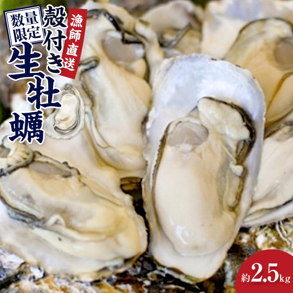 【ふるさと納税】殻付き生牡蠣 2.5kg【漁師直送！】 | 兵庫県 兵庫 楽天ふるさと 納税 支援 返礼品 お取り寄せグルメ 取り寄せ グルメ 牡蠣 かき カキ 魚介類 魚介 海の幸 産地直送 産直 生ガキ 海鮮 殻付き牡蠣 海産物 貝 殻付き ご当地