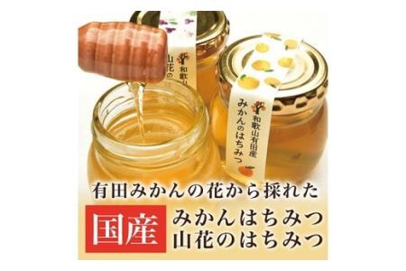 みかんのはちみつ＆山花のはちみつ(B44-1)