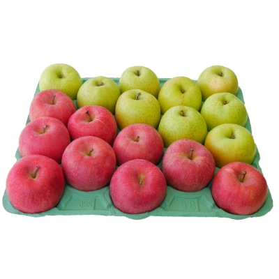 りんご 王林・ふじ 詰め合わせセット 約5kg【配送不可地域：離島】