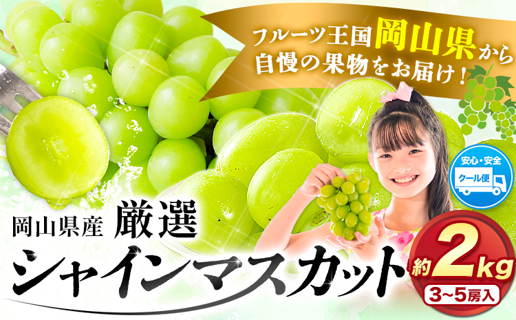 【先行予約】厳選 訳あり シャインマスカット 約 2kg 3~5房《2025年9月中旬-11月上旬頃出荷》岡山県 浅口市 シャインマスカット ぶどう フルーツ 果物 贈り物 ギフト 国産 岡山県産 送料無料