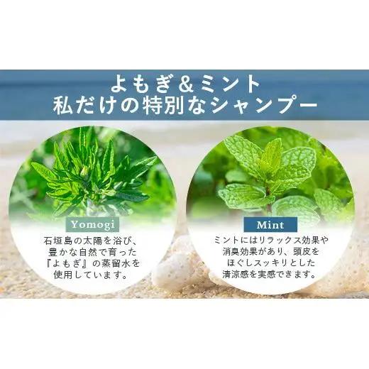 オーガニックオンリーシャンプー よもぎ＆ミント （パウチタイプ）　 OR-2