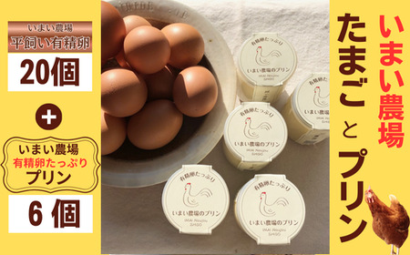 BQ4　平飼い 有精卵 20個 と プリン 6個　いまい農場　【 セット 国産 濃厚 卵 たまご 有精卵 デザート スイーツ スィーツ 贈り物 兵庫県 宍粟市 しそうし 】