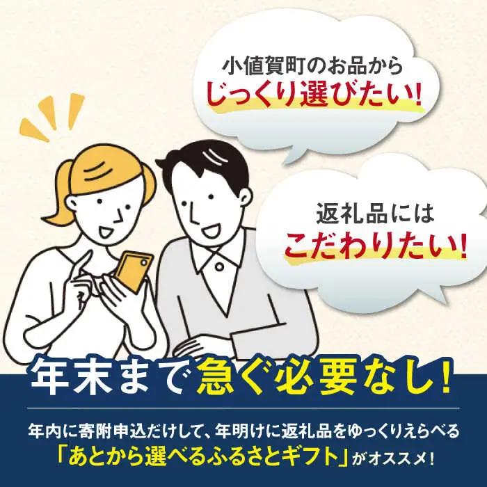 【あとから選べる】町 ふるさとギフト 30万円分 先に寄附 30万円 300000円 長崎県  [DYZ012]