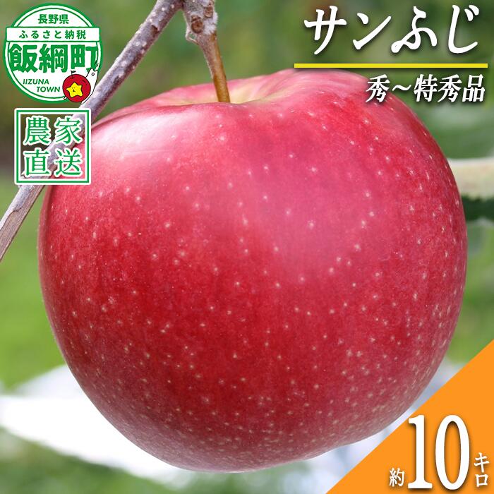 【ふるさと納税】 りんご サンふじ 10kg 秀〜特秀 一里山農園 〔 果物 フルーツ 林檎 長野 予約 農家直送 贈答用 10キロ 〕【令和8年度収穫分】 発送：2026年12月上旬〜