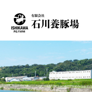 養豚場直営の超新鮮な味噌とんちゃん（味付けホルモン） ブリオ あいぽーく 豚肉 国産 ブランド豚 焼肉 炒め物 バーベキュー BBQ 惣菜 冷凍 味噌 ホルモン 小分け 人気 大腸 小腸 ハツ ガツ 