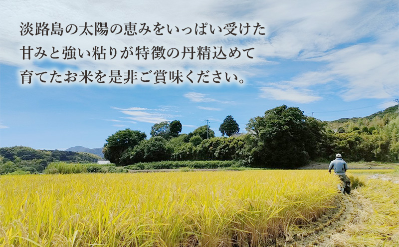 天日干しコシヒカリ5kg 兵庫県 洲本市 淡路島