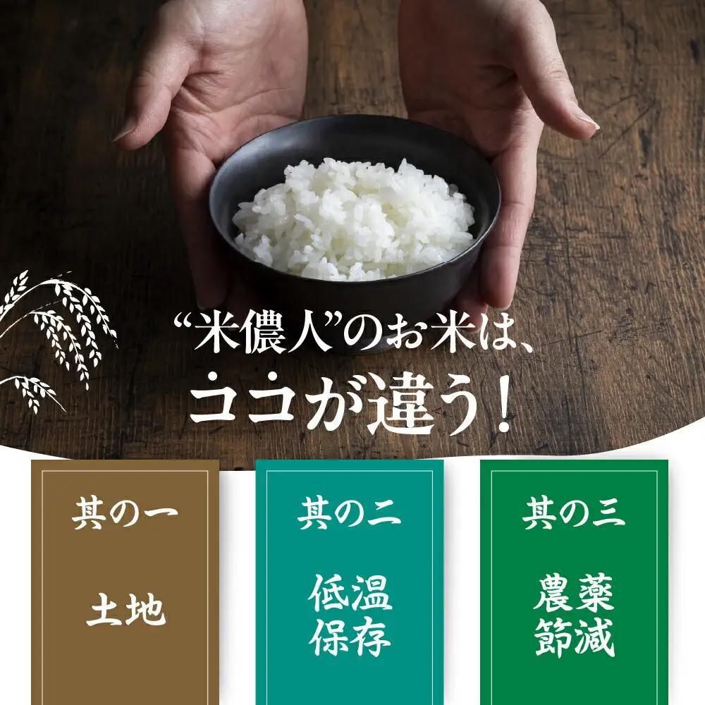 令和7年産【定期便】白銀の穂 5kg×6回 お米