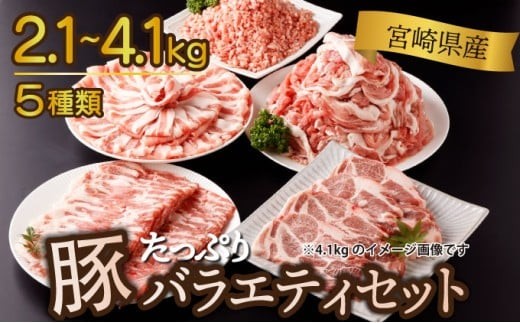 
                  KU405《発送時期が選べる》 2.1kg~4.1kg！ 豚バラエティーセット 【宮崎県産】
                