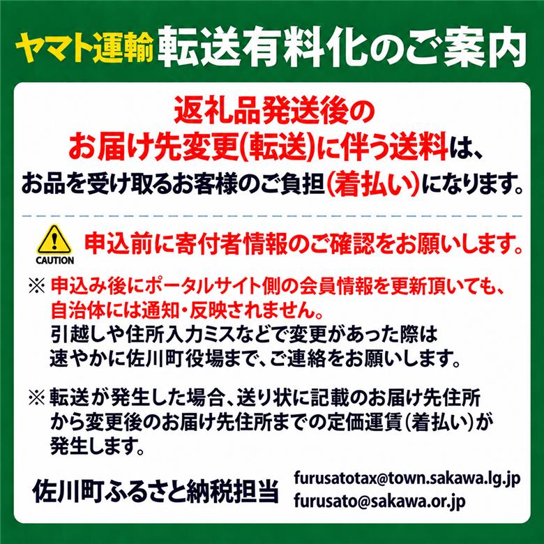 <2027年 9月上旬頃より発送予定>　豊水梨（約3kg／4～7玉）黒岩　佐川町　***予約受付中***