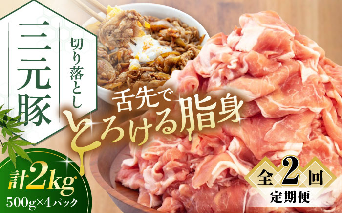 
                  【全2回定期便】平田牧場 切り落とし 2kg (500g×4P) 《喜茂別町》【平田牧場】 肉 豚肉 生姜焼き 小分け 冷凍 冷凍配送 定期便 定期 北海道 平田牧場 三元豚 [AJAP034] 40000 40000円 4万円
                