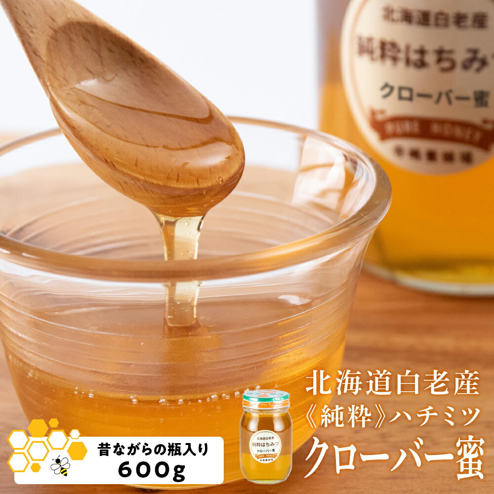 【ふるさと納税】北海道白老産 純粋 ハチミツ クローバー蜜 600g BZ005