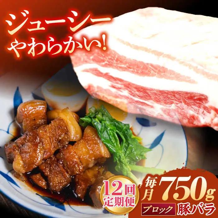 【定期便】 ブロック 豚バラ肉 ブロック肉 総計9kg NAC615 豚肉 全12回