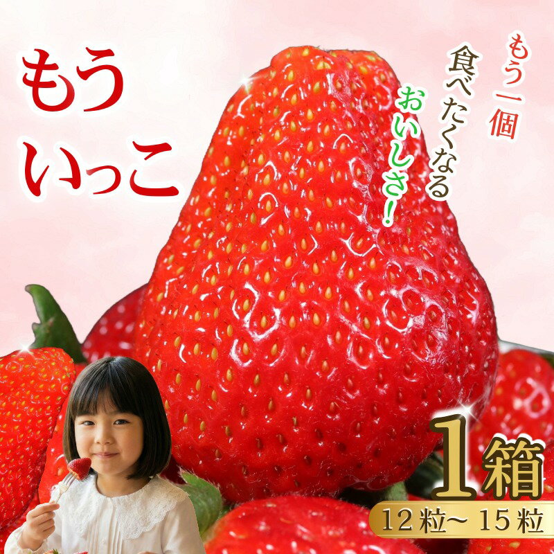 【ふるさと納税】 もういっこ いちご 銚子産 大粒 苺 イチゴ 【1月下旬～4月下旬頃発送】 フルーツ 果物 デザート ジャム SNS映え お取り寄せ 通販 贈答用 家庭用 ギフト 10,000 10000円 一万円 ふるさと納税 ふるさと納税いちご ふるさと納税フルーツ 千葉県銚子市 岩瀬農園