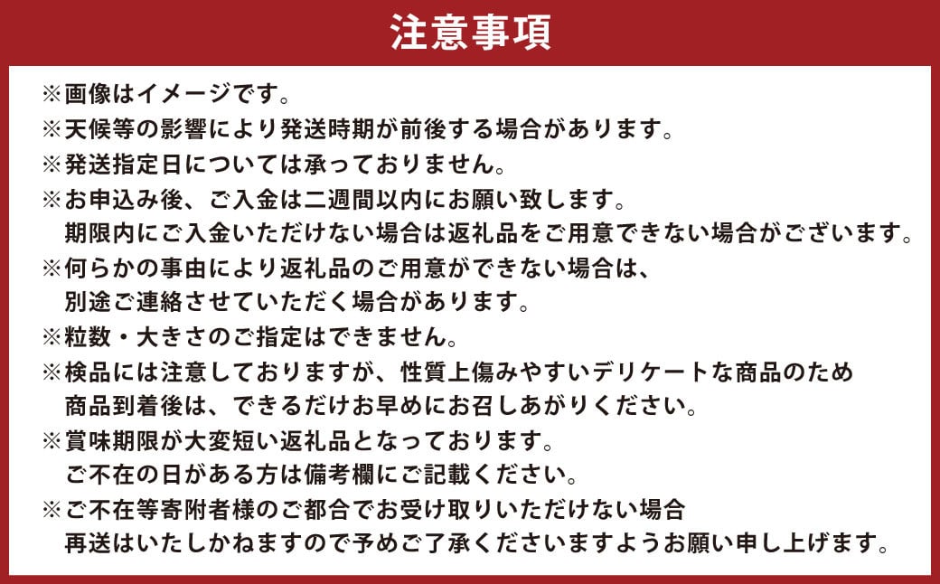 紅ほっぺ DX 約260g×4パック 計1,040g ｜ いちご 苺 果物 くだもの フルーツ 紅ほっぺ