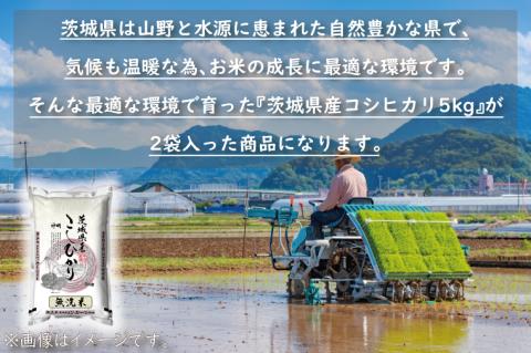 令和5年産 茨城 コシヒカリ 10kg (5㎏×２袋) 米 お米 おこめ 白米 ライス ご飯 精米 こしひかり 国産 茨城県産