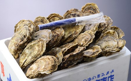 厚岸産 殻かき L 20個セット 北海道 生食 マルえもん 牡蠣