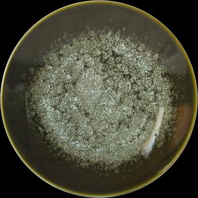 ふるさと納税 瑞浪市 テラグラーズ　チョッププレート　オリビエ　1客