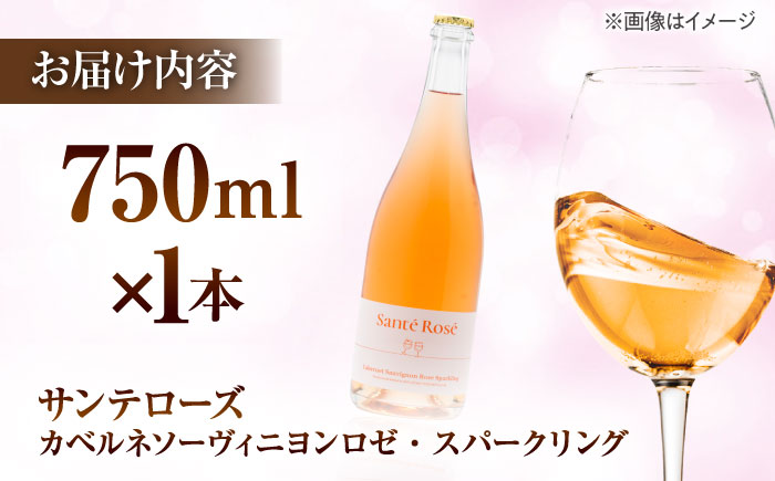 【2025年新作】サンテローズ（カベルネソーヴィニヨンロゼ・スパークリング）750ml×1本 ワイン お酒 ぶどう 島根県雲南市/有限会社奥出雲葡萄園 [AICS090]