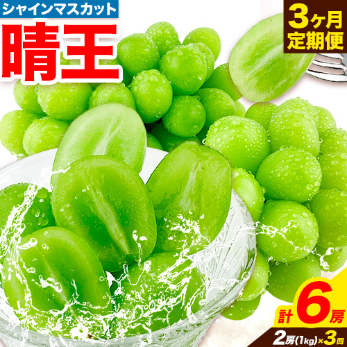 ぶどう 3ヶ月 定期便 [2025年先行予約] シャインマスカット 晴王 岡山県産 2房 約1kg《9月上旬-11月末頃出荷(土日祝除く)》 ハレノフルーツ マスカット 送料無料 岡山県 浅口市 フルーツ 果物 贈り物 国産 岡山県産 【配送不可地域あり】