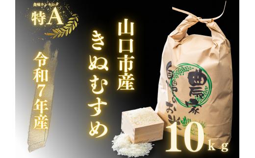 D405 農家直送！山口市産「きぬむすめ」精米10kg