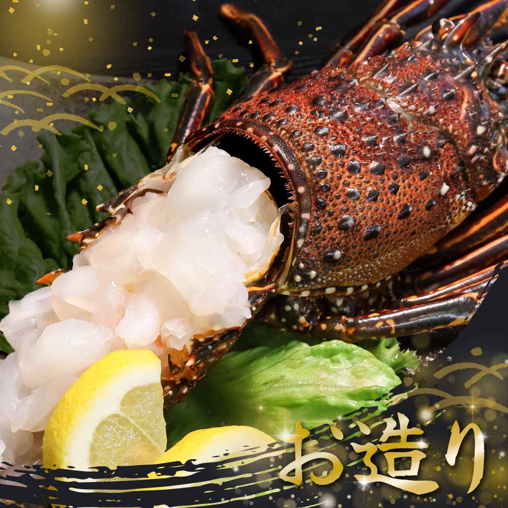 天然伊勢海老１kg（サイズ・匹数おまかせ）甲殻類 エビ アウトドア キャンプ 海鮮BBQ伊勢海老１kg（サイズ・匹数おまかせ）お祝いアウトドアキャンプBBQ【R00625】