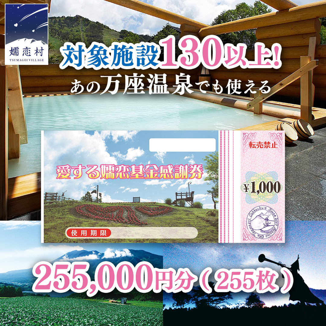 嬬恋村 で使える 感謝券255,000円分 (255枚) 温泉総選挙 万座温泉 万座 鹿沢温泉 観光 旅行券 宿泊券 宿泊補助券 旅行 温泉 温泉 ペンション ホテル 旅館 トラベル 父の日 母の日 敬老の日 浅間高原 鹿沢 バラギ 北軽井沢 エリア 関東 255000円 クーポン チケット 国内旅行 お泊り 日帰り 観光地応援 [AO037tu]